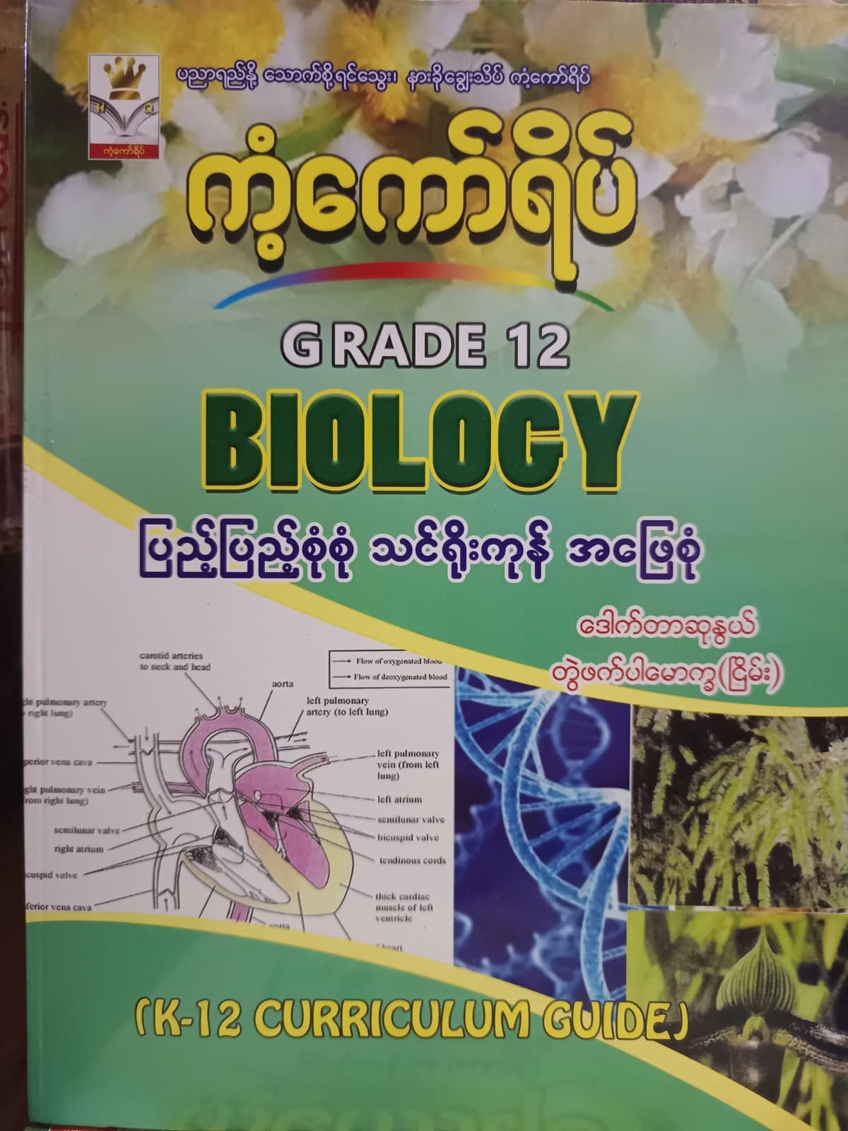 ဒေါက်တာဆုနွယ် တွဲဖက်ပါမောက္ခ(ငြိမ်း). Grade 12 Biology ကံ့ကော်ရိပ် သင်ရိုးကုန် — book cover