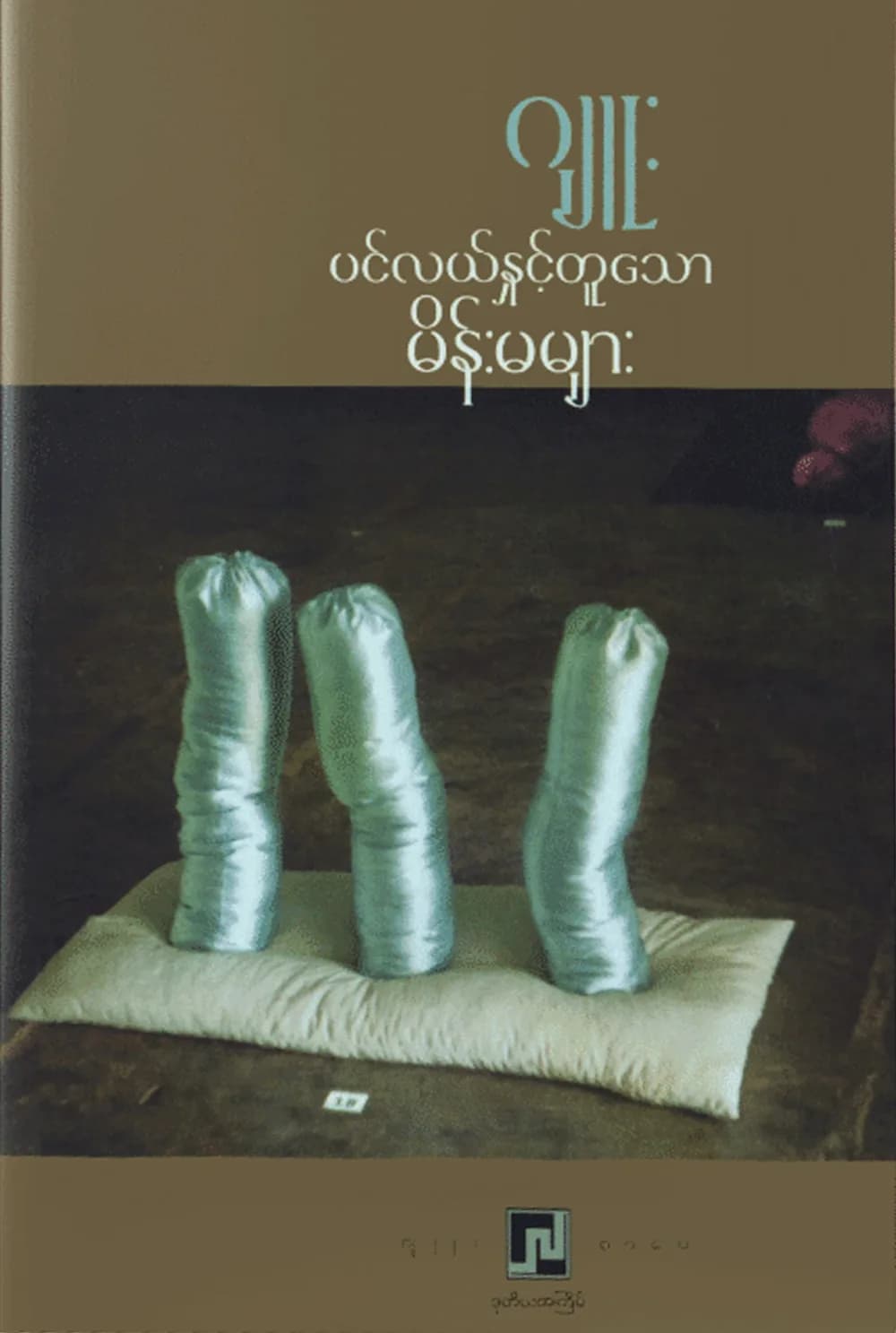 ပင်လယ်နှင့်တူသောမိန်းမများ — book cover