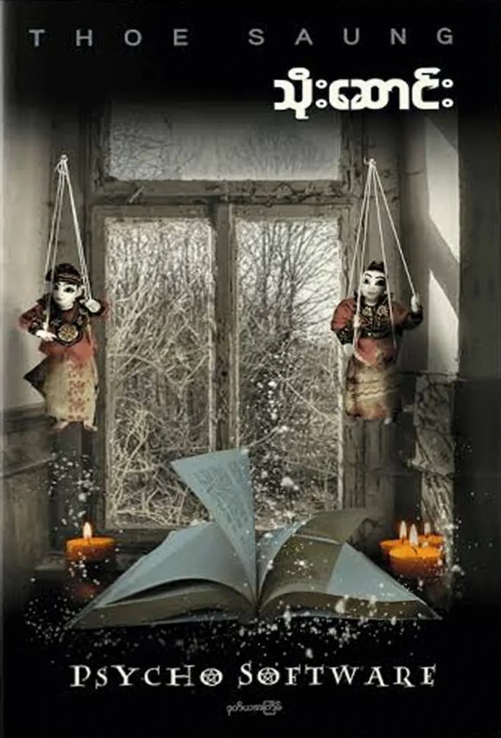 Psycho Software — book cover