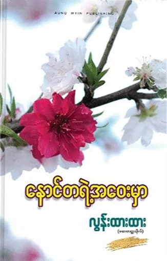 နောင်တရဲ့ အဝေးမှာ — book cover