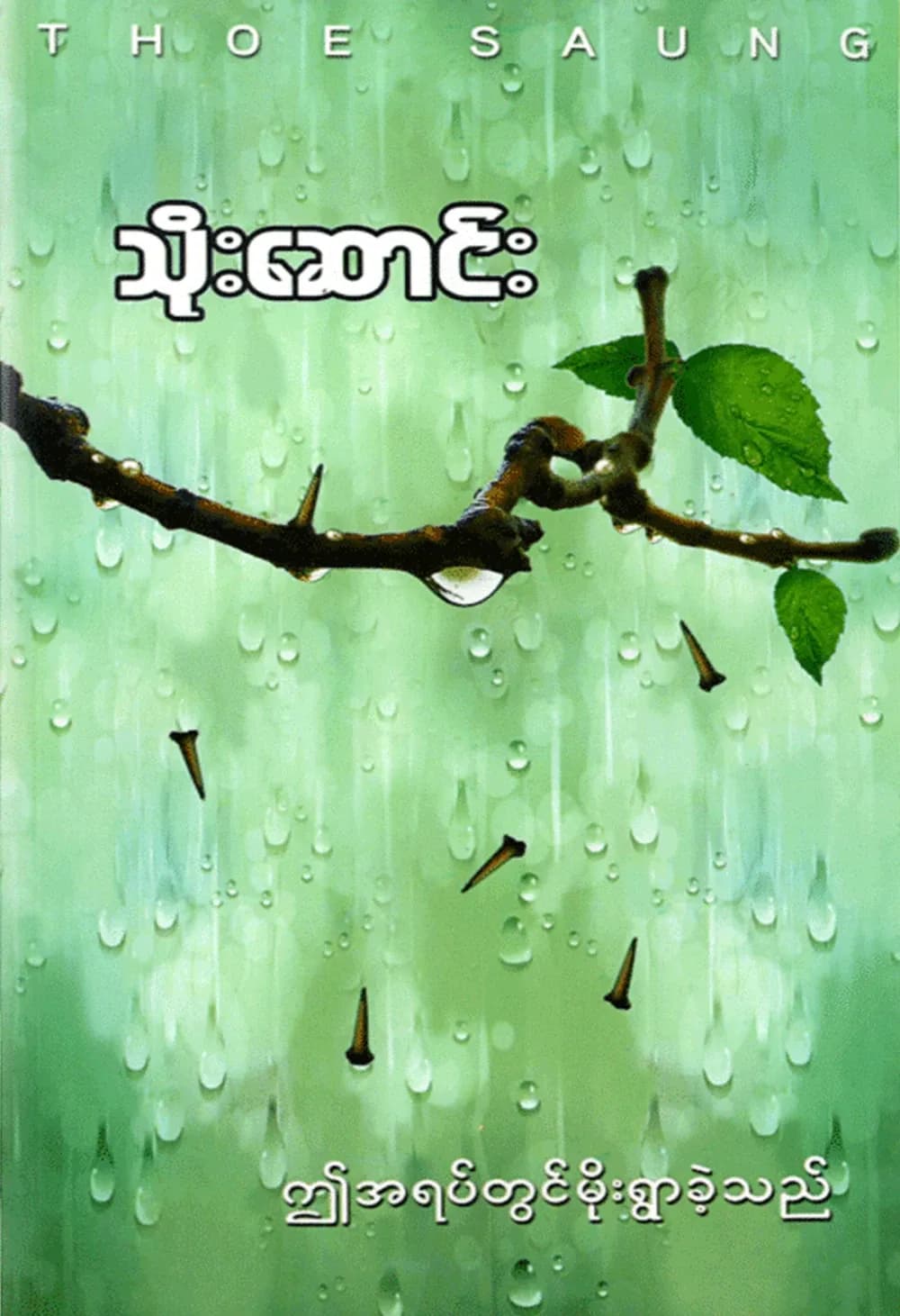 ဤအရပ်တွင်မိုးရွာခဲ့သည် — book cover